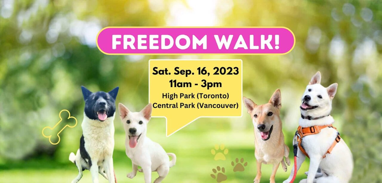 Freedom Walk 2023