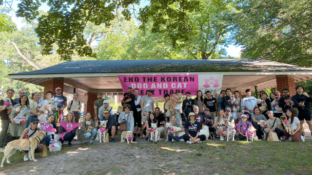 Freedom Walk 2023 Toronto