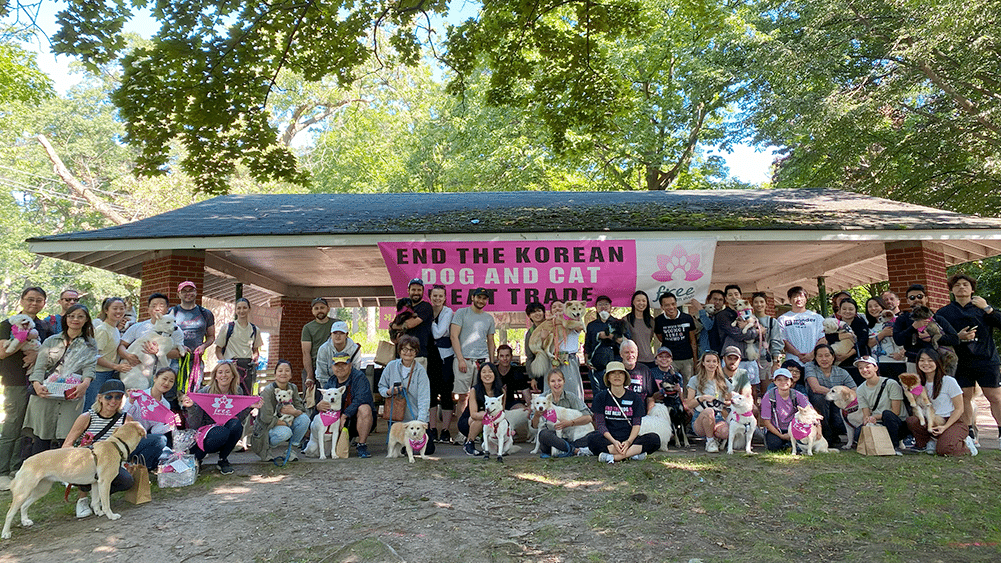 Freedom Walk 2023 Toronto