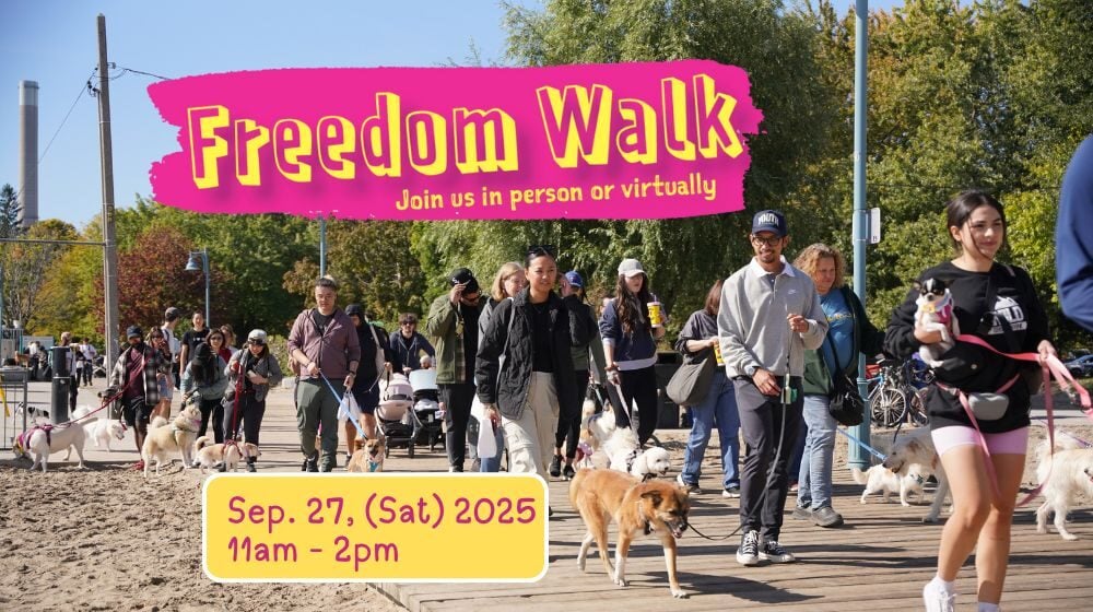 Freedom walk 2025 1