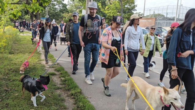 Freedom Walk Toronto 2019