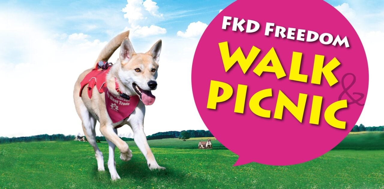 FKD Freedom Walk and Picnic