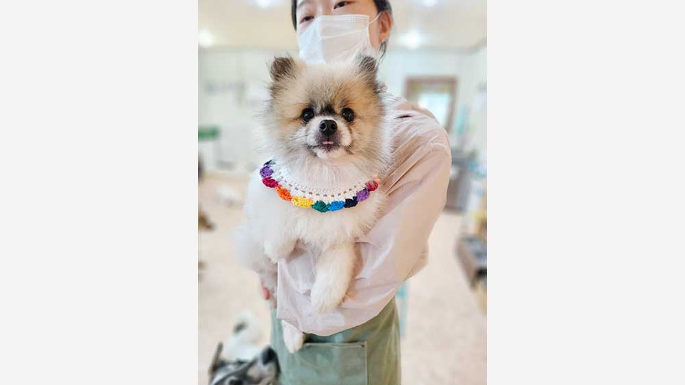 Gri