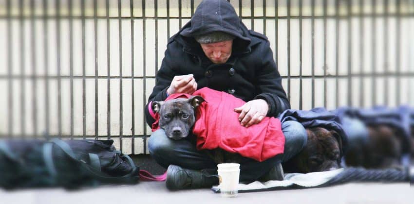 Homeless-Man-and-Dog-Photo by Nick-Fewings