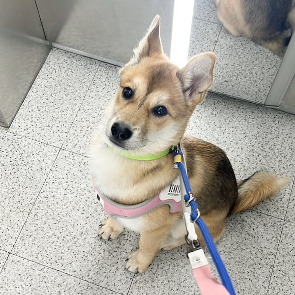 Inkyung at her foster home.