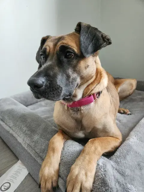 Jenna, Toronto 2024