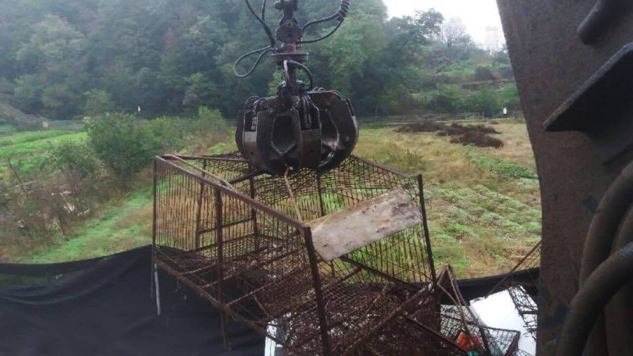 Jeonju dog meat farm cages were destroyed. 