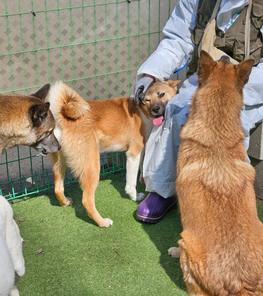 Jinu
