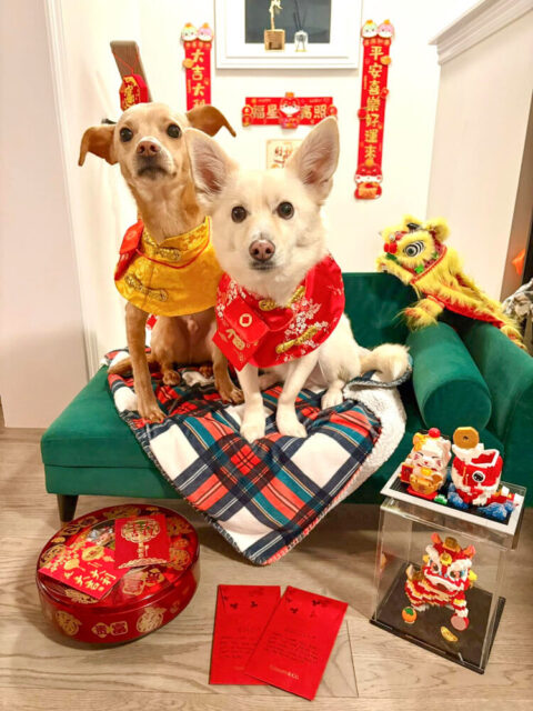 Jordy & gaho, toronto 2019