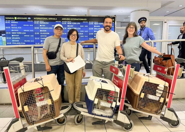 July 18 toronto arrival