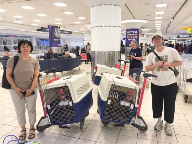 July 31 toronto arrival