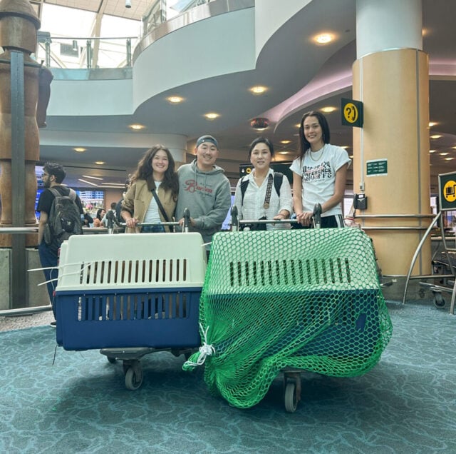 June 11 vancouver arrival