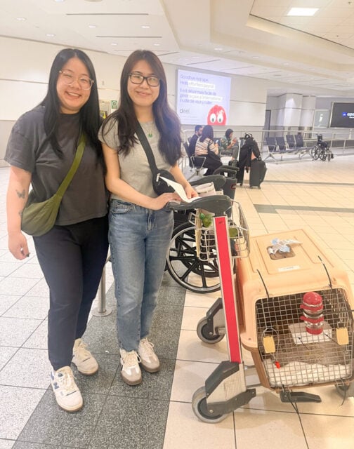 June 6, toronto arrival