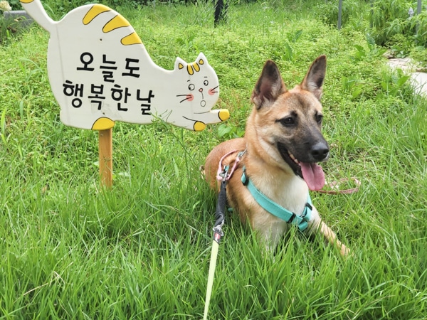Kyungyi at her foster home in Korea.
