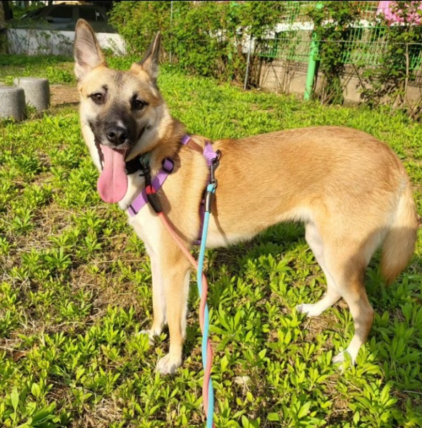 Kyungyi at her foster home in Korea.