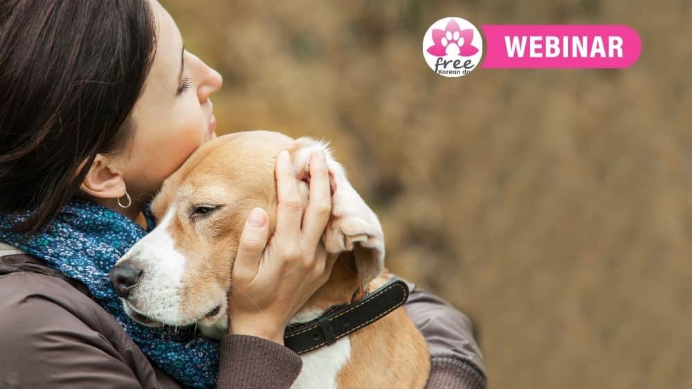 Live Webinar: Common Rescue Dog Behaviors