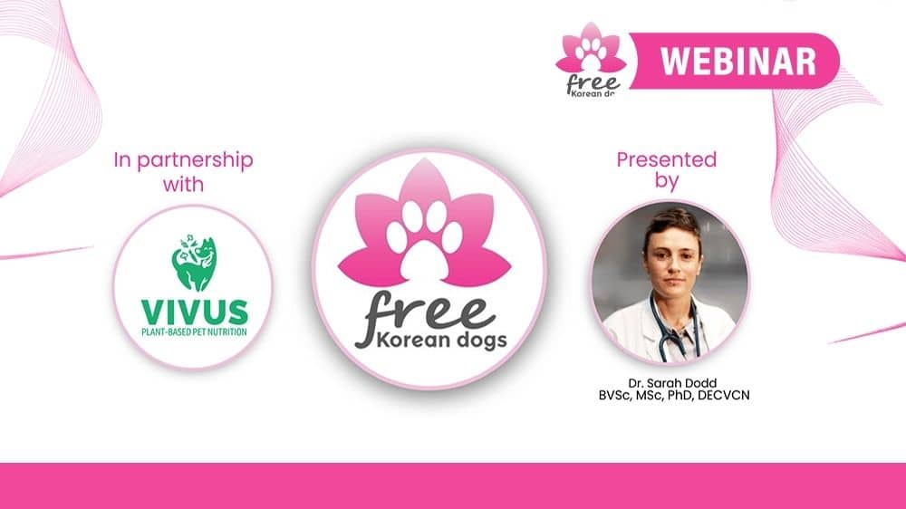 Live Webinar: Canine Nutrition with Dr. Sarah Dodd