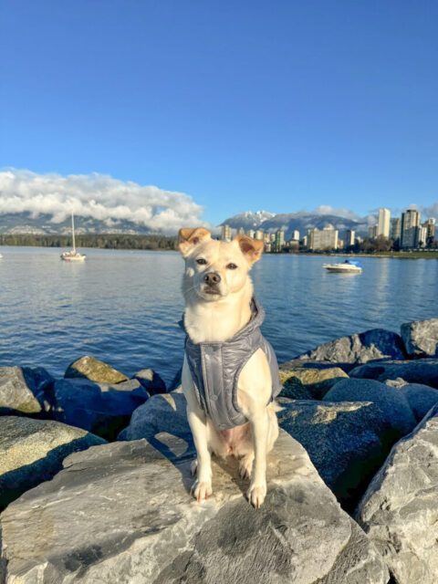 Lala, vancouver 2025