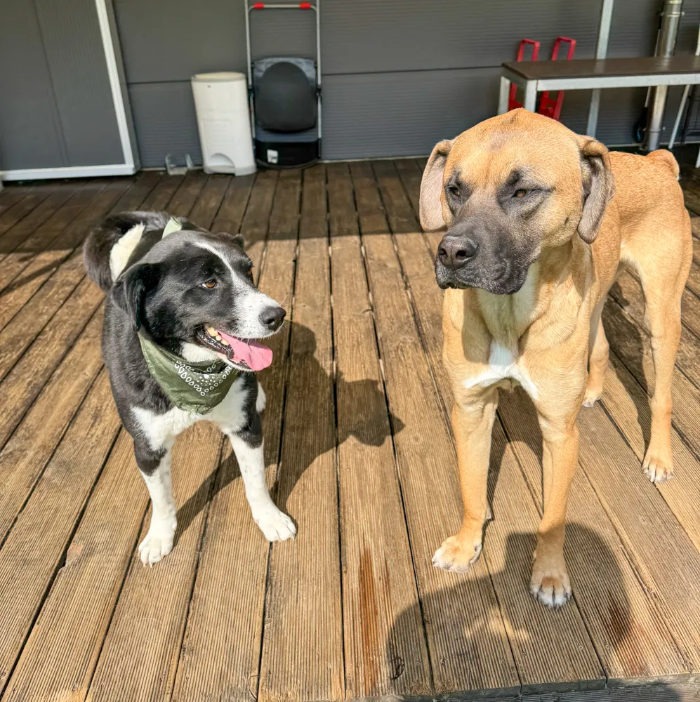 Lanie and Camper