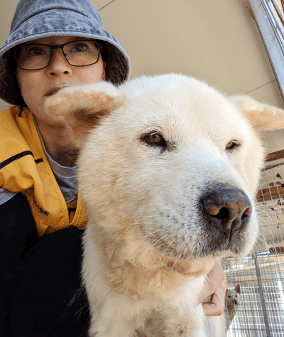 EK with Mani, rescue dog from Siheung dog farm.