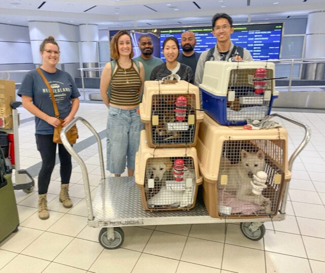 May 27, toronto arrival