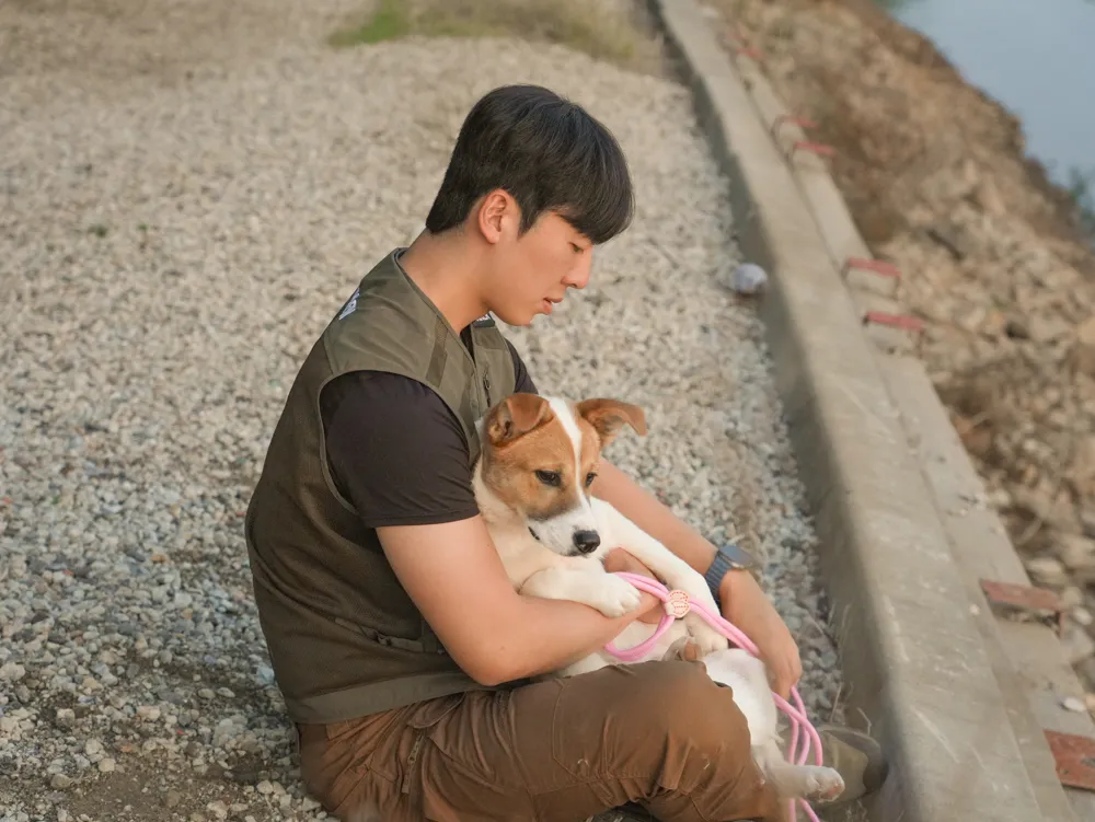 Mingu
