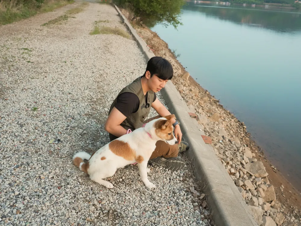 Mingu