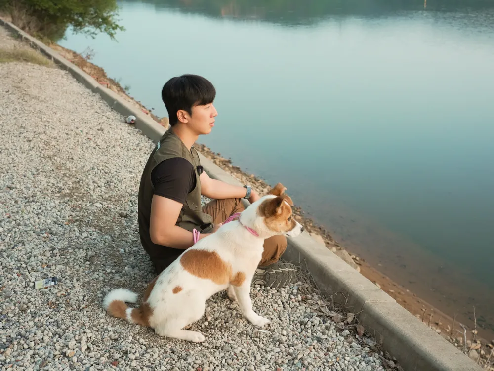 Mingu
