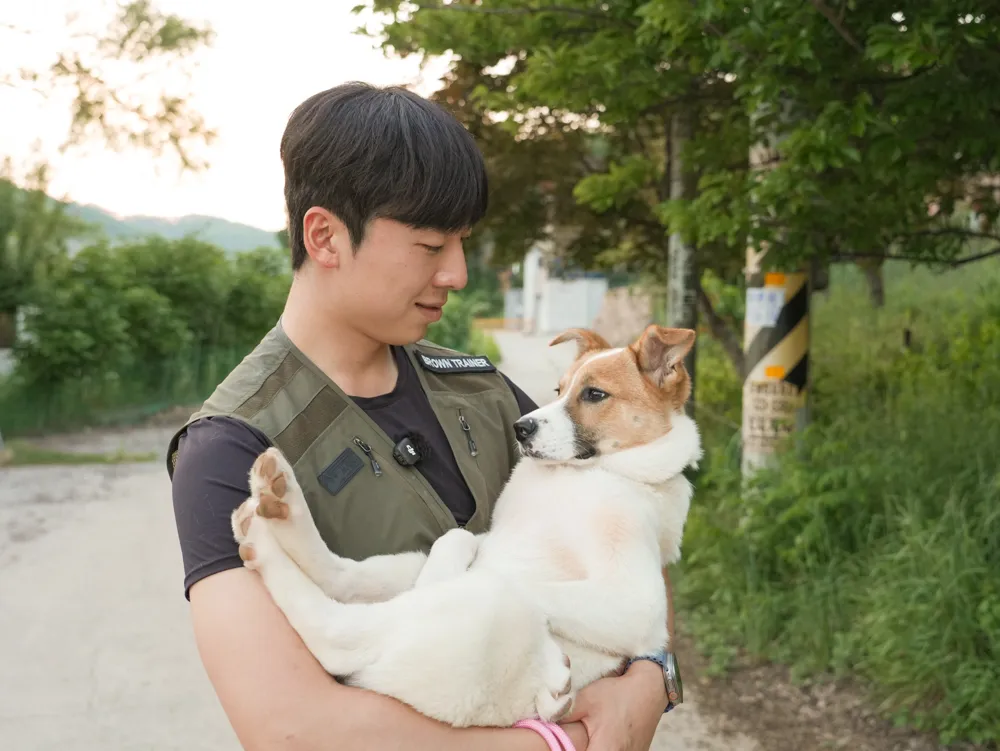 Mingu