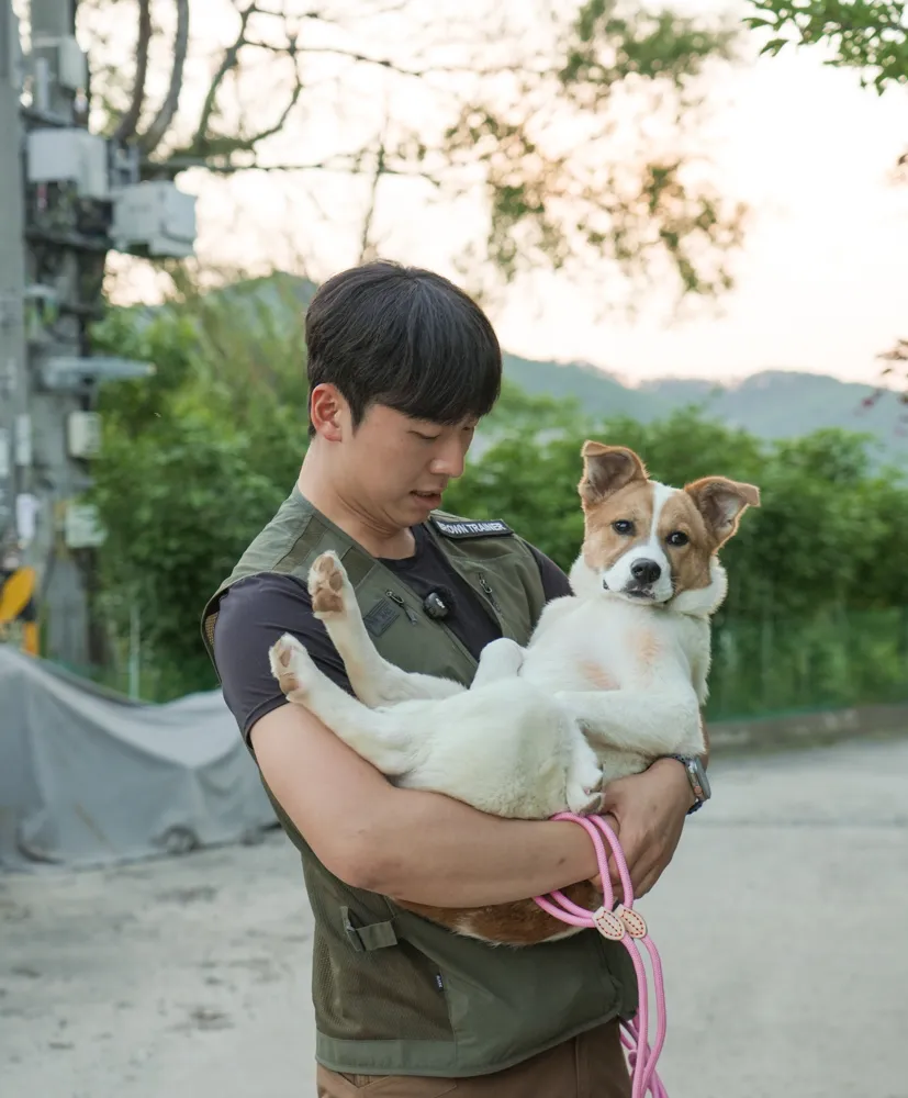 Mingu