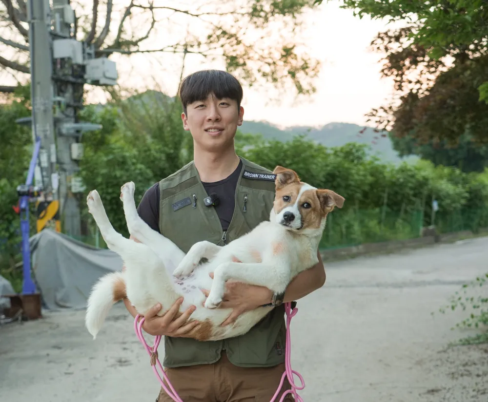Mingu