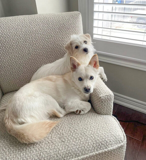 Miso & sunhee, toronto 2023