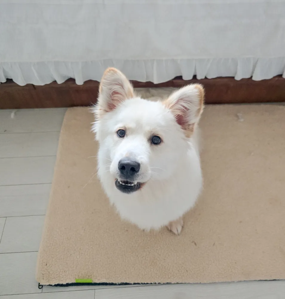 Molly