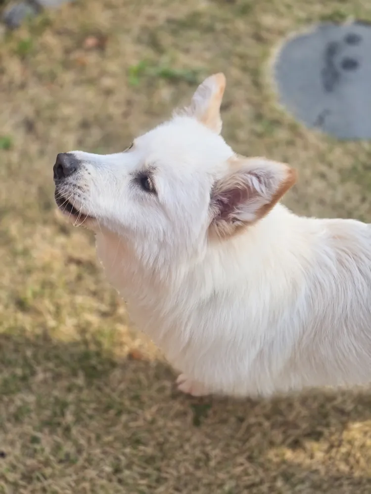 Molly