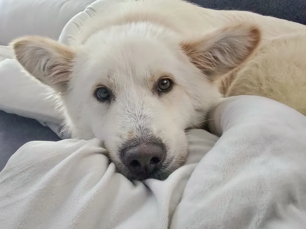 Molly