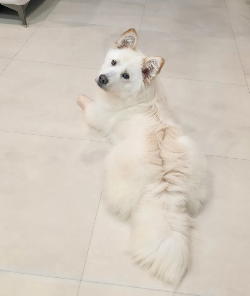 Molly