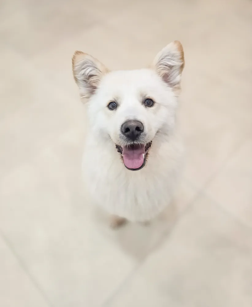 Molly