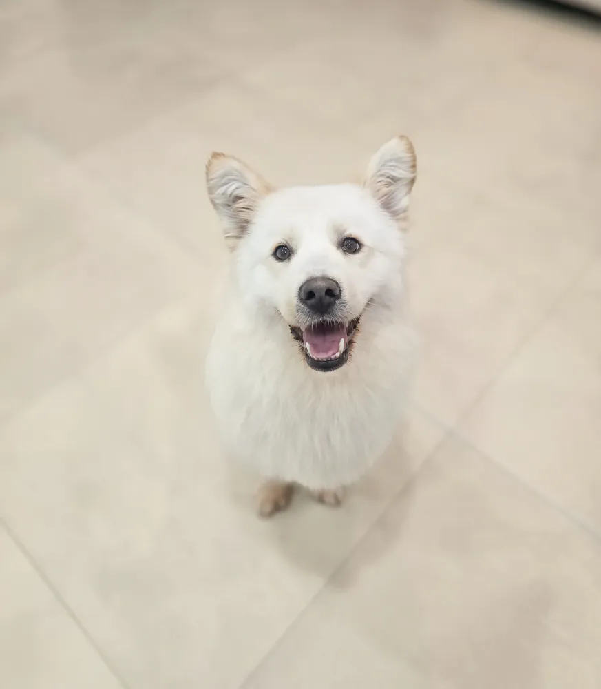 Molly