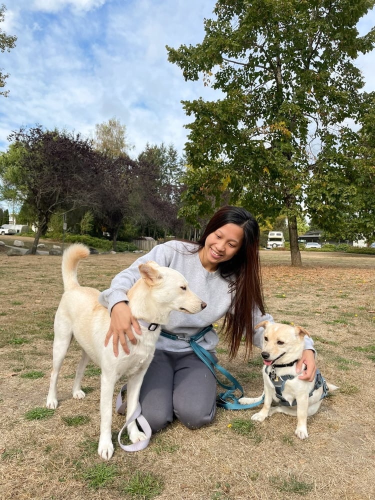 Monica And Her Two Adopted Korean Rescue Dogs