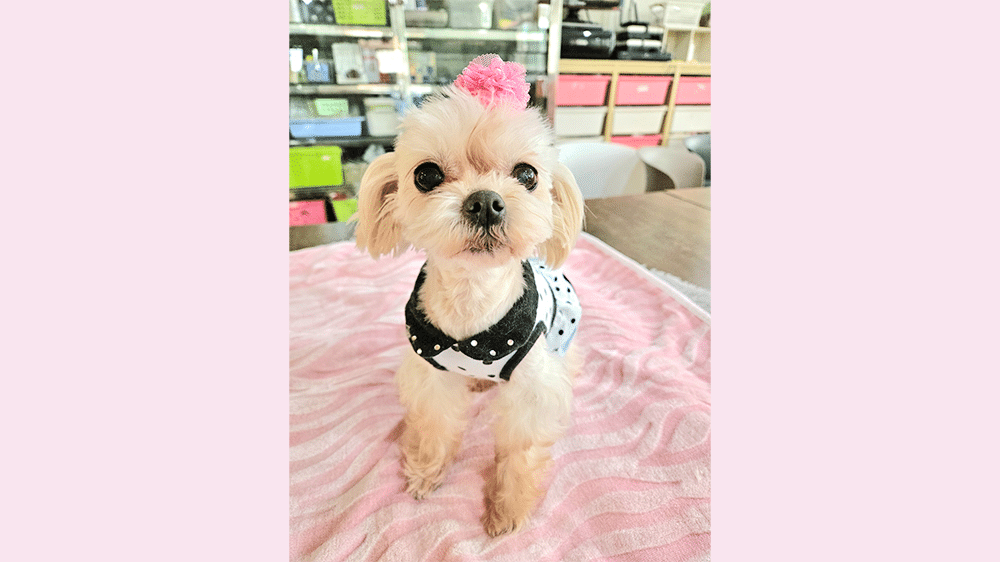 Nini
