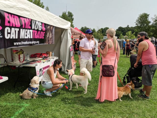 Pawlooza London On 2018