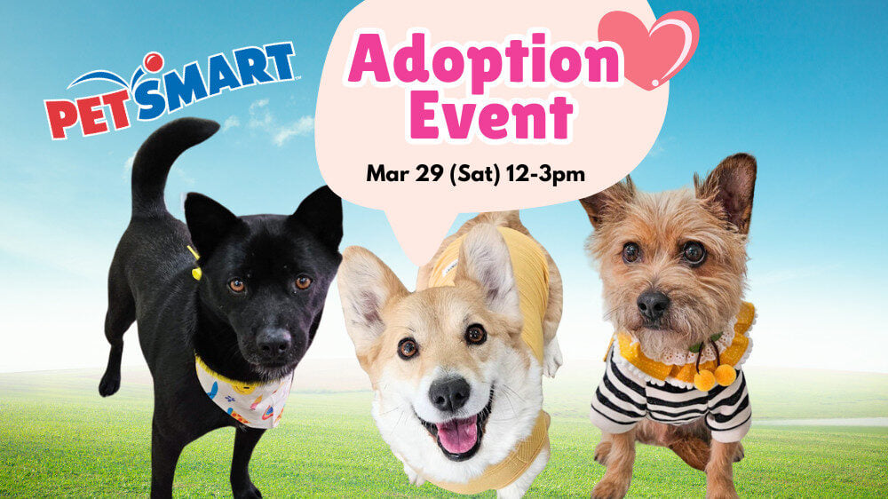 Petsmart Adoption Event