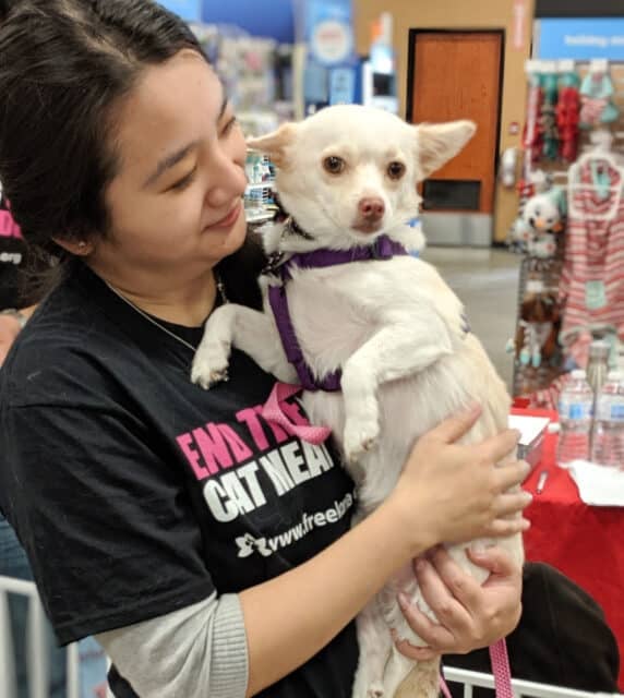 PetSmart Adoption event 2018
