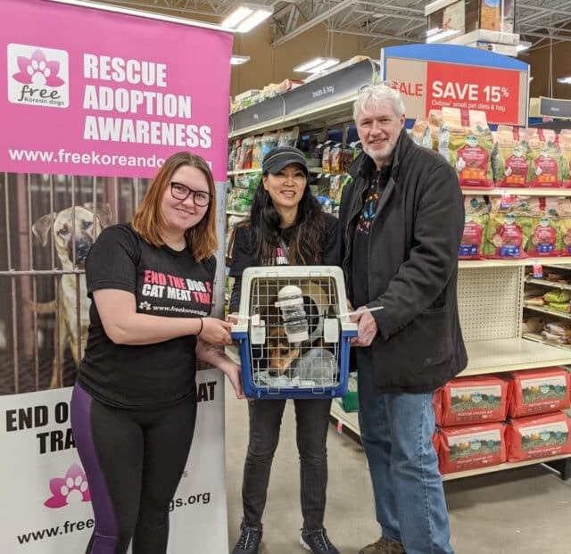 Petsmart Adoption Event 2019
