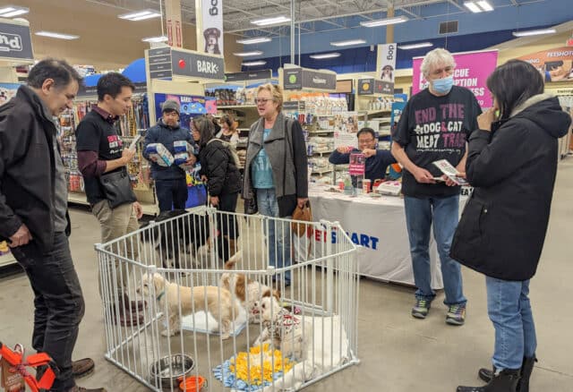 Petsmart Adoption Event 2023