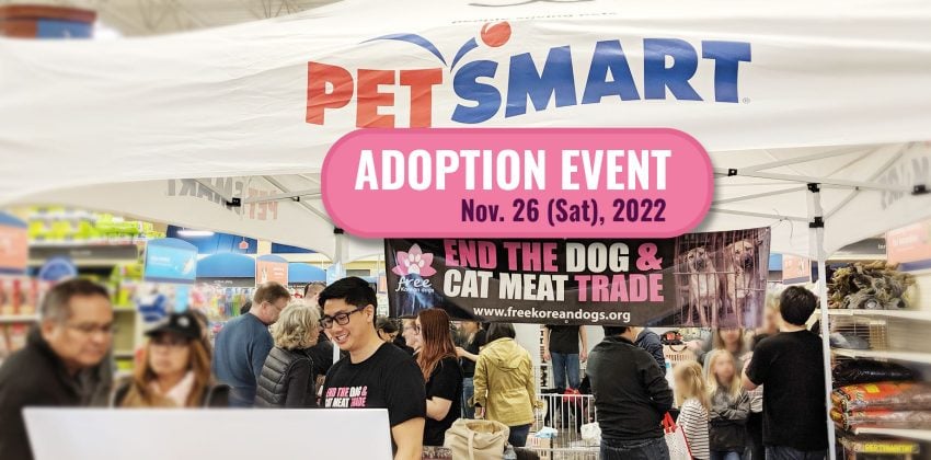 Petsmart Adoption Event