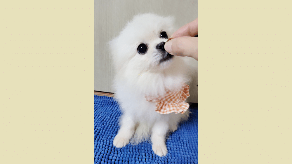 Pomi