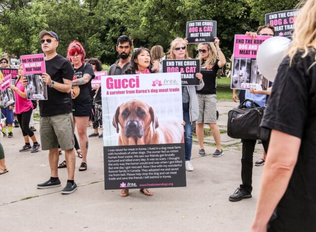 Protest against Korean dog meat trade-01
