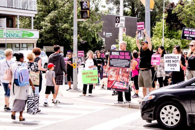 Protest against Korean dog meat trade-02