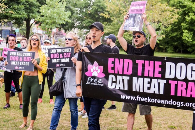 Protest against Korean dog meat trade-03
